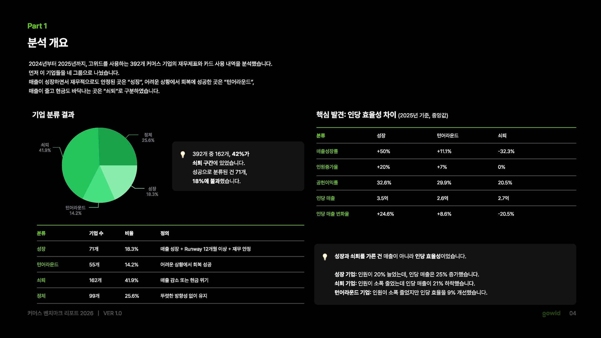 분석 개요